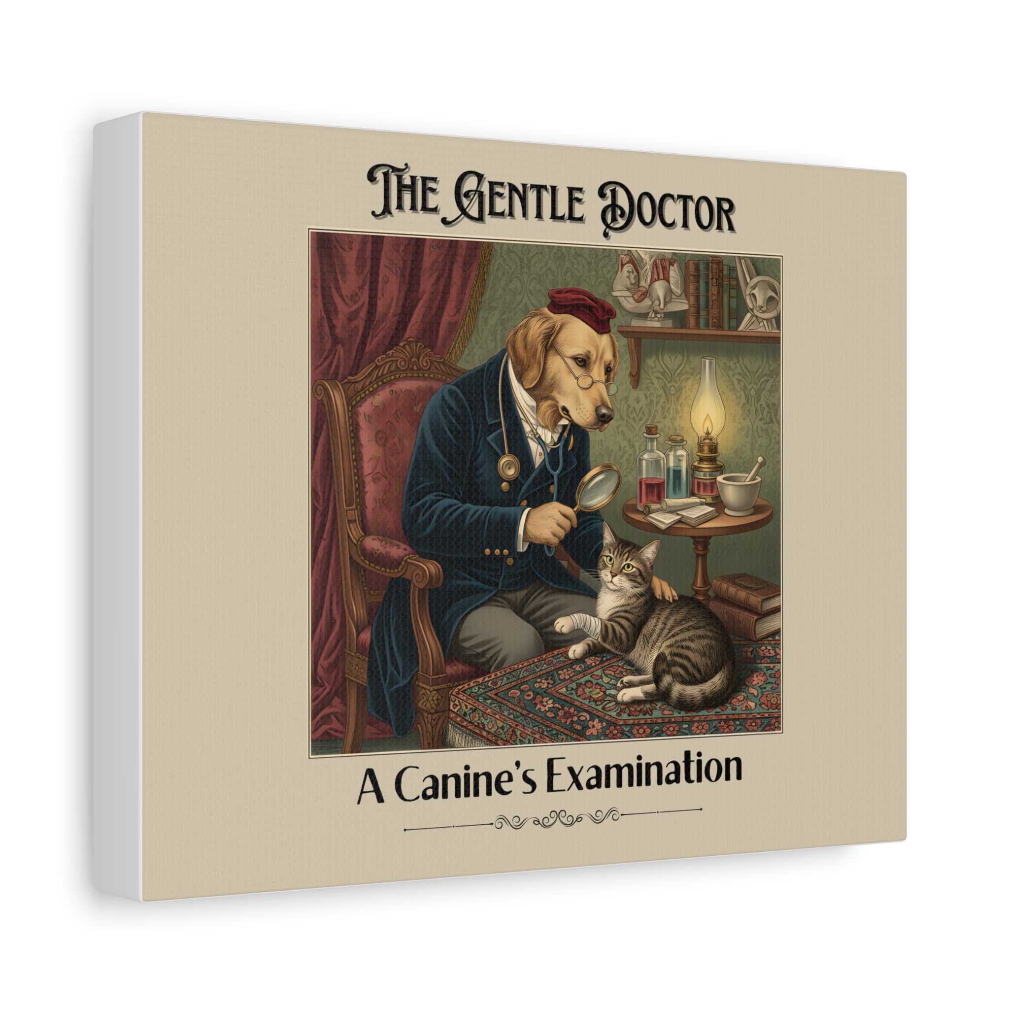 The Gentle Doctor Canvas Print