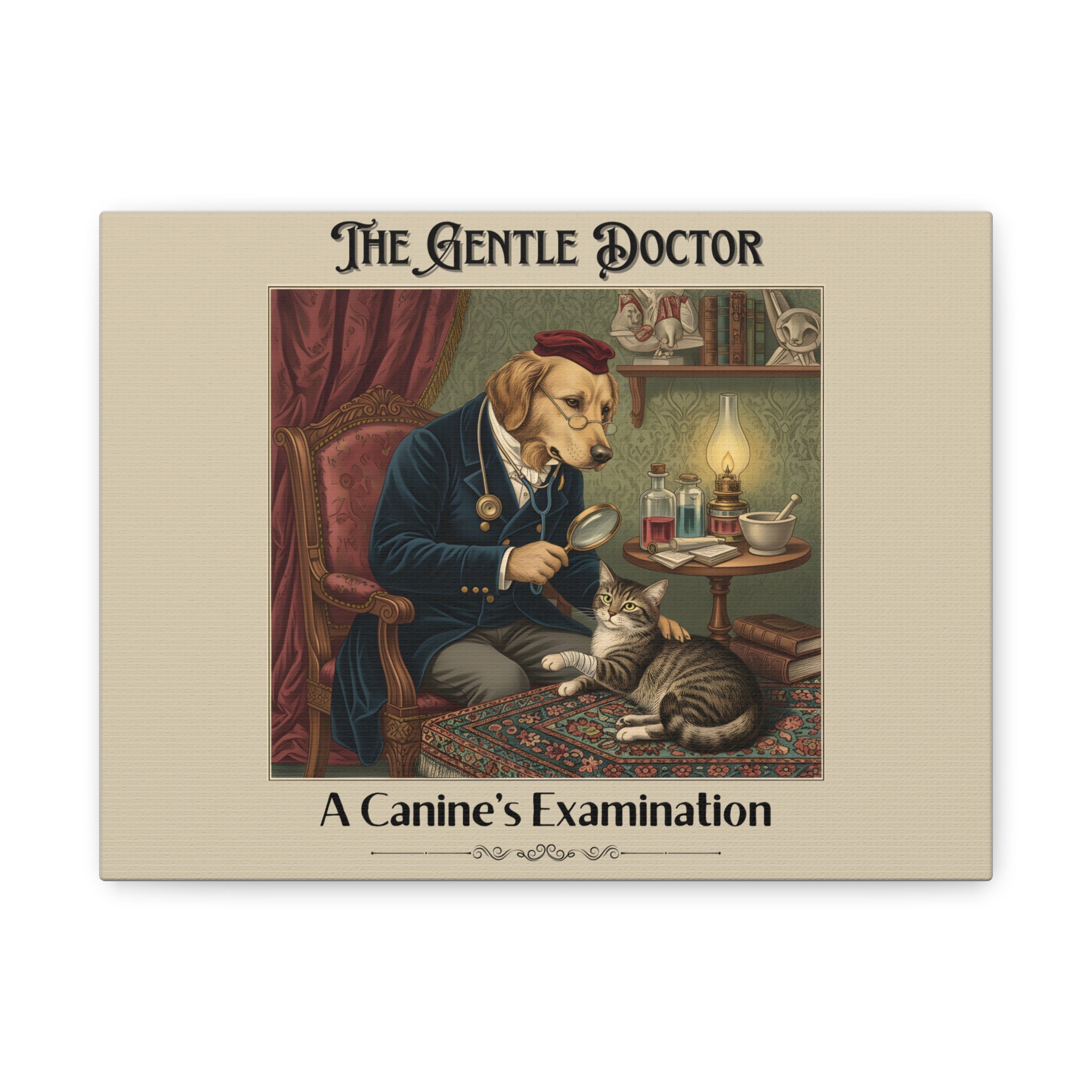 The Gentle Doctor Canvas Print