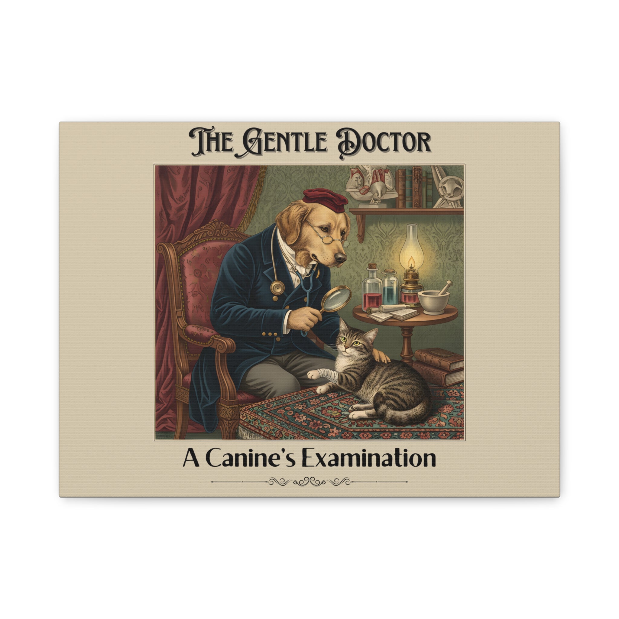 The Gentle Doctor Canvas Print