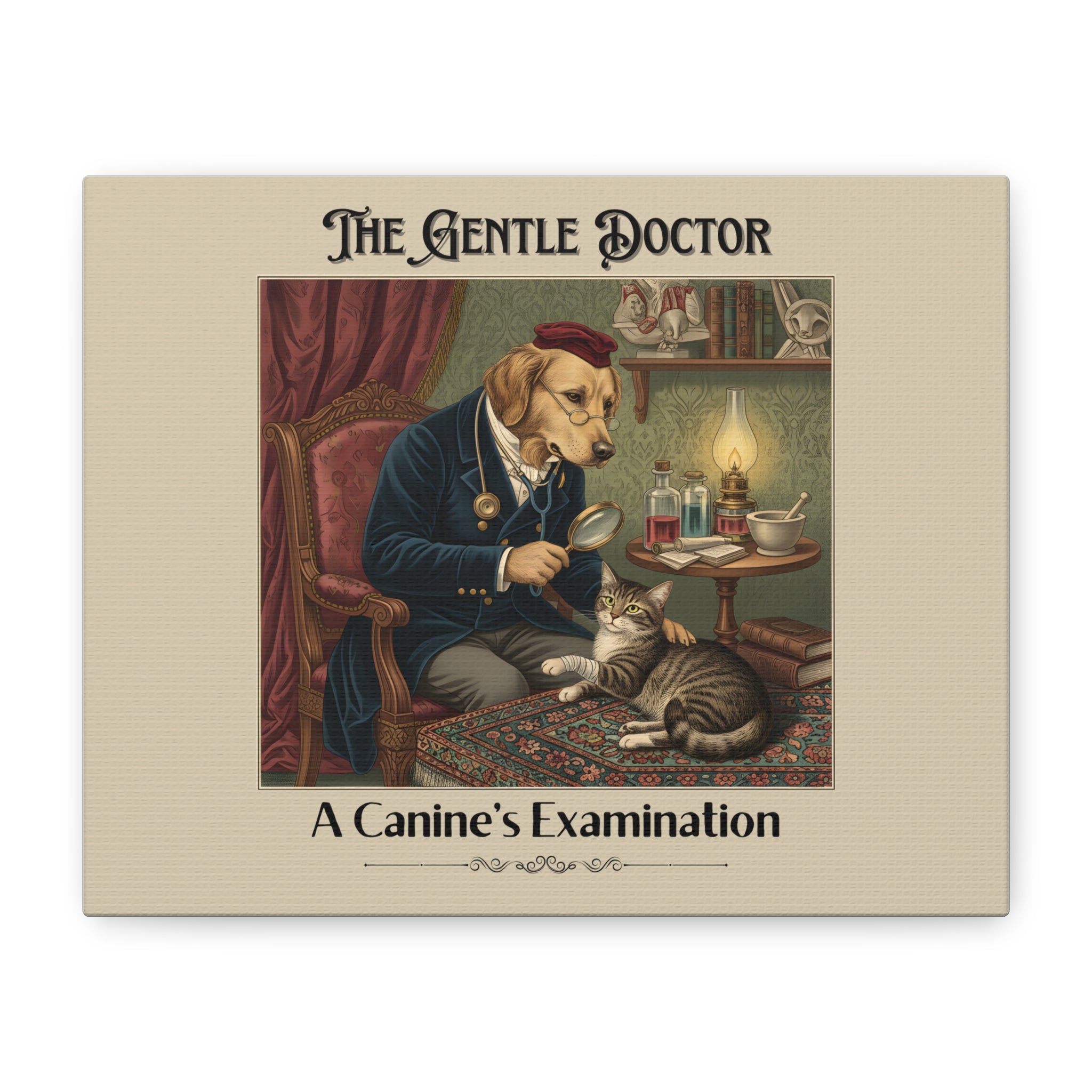 The Gentle Doctor Canvas Print